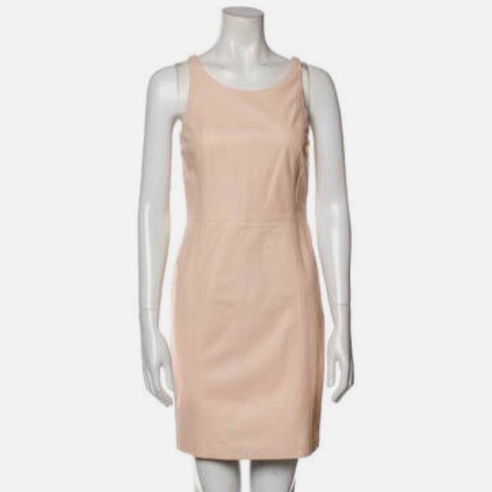 Adam Lippes Lamb Leather Sleeveless Dress in Blush Size 6